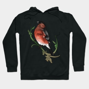 Bullfinch Hoodie